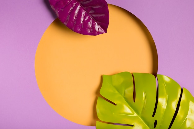 Top view paper circle with leaves