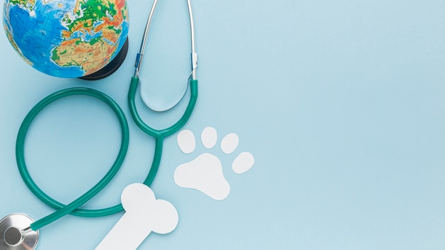 Free photo top view of paper paw print and bone with stethoscope and planet earth for animal day