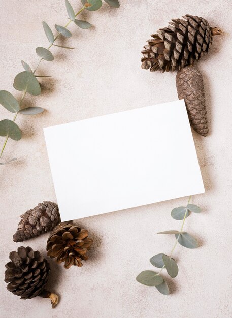 Top view of paper with pine cones and plant for autumn