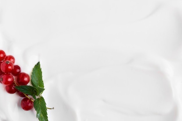 Top view paste white natural yogurt and cranberries