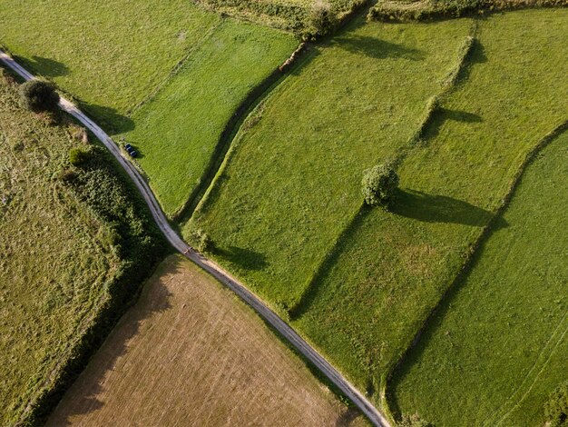 Top view peaceful green land