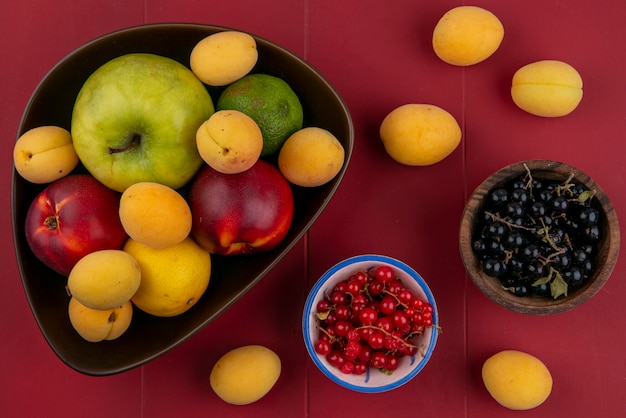 Free photo top view of peach with apple and apricots in a bowl with red and black currants on a red surface