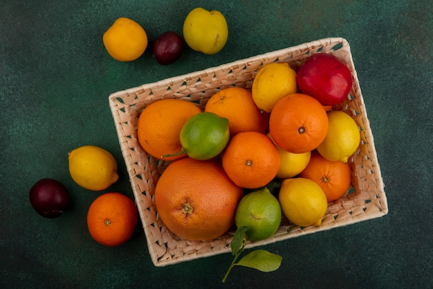 Вид сверху персик с лимонами, лаймами, сливами, грейпфрутом и апельсинами в корзине на зеленом фоне