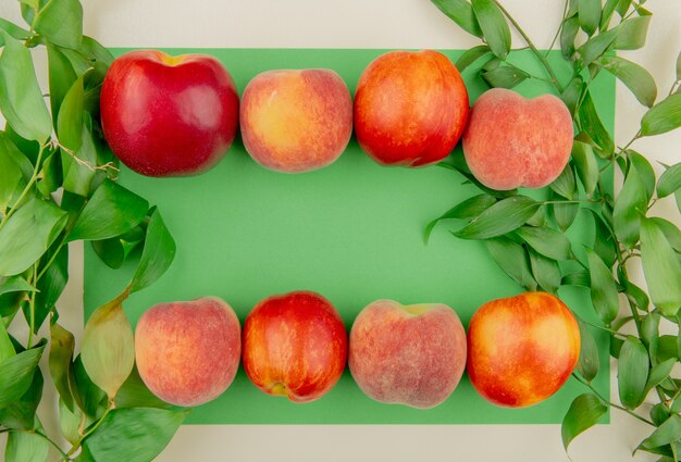 Top view of peaches on green and white surface decorated with leaves