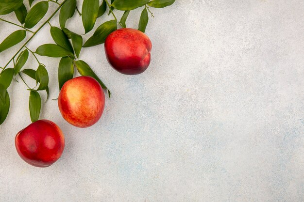 Top view of peaches and leaves on left side and white background with copy space