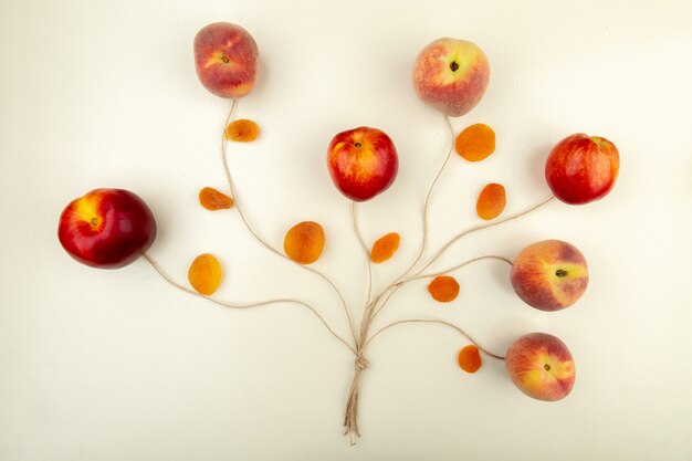 Top view of peaches and yellow raisins with twine on white surface tree concept