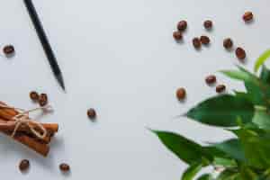 Foto gratuita matita vista dall'alto con chicchi di caffè, cannella secca, pianta su sfondo bianco. orizzontale
