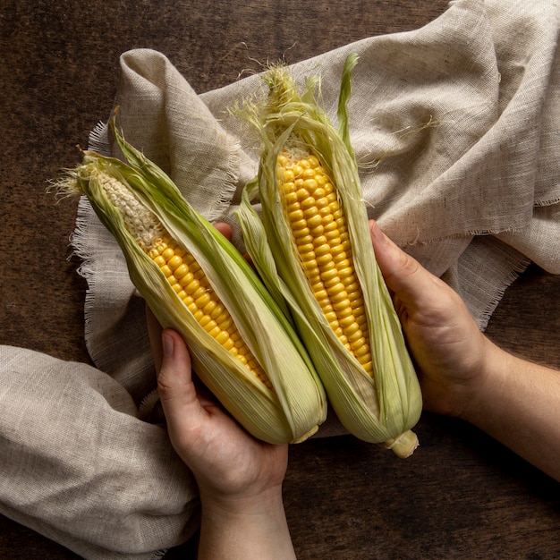 Free photo top view of person holding corn