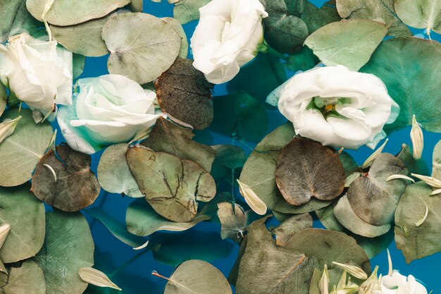 Top view petals and leaves in blue water