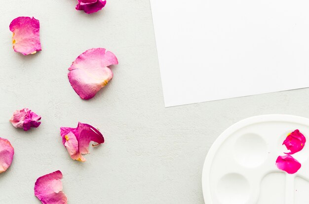 Top view petals with paper and clean palette