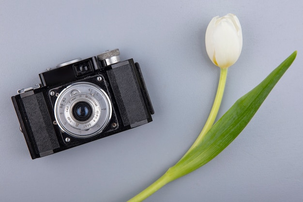 Top view of photo camera and flower on gray background