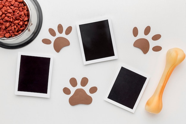 Top view of photos with paw prints and bone for animal day