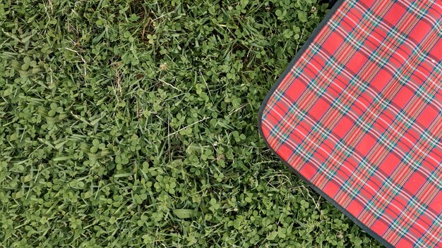 公園の芝生の上のトップビューピクニック毛布