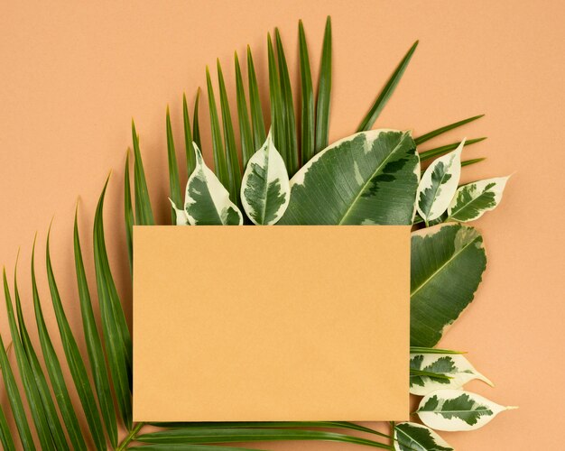 Top view of piece of paper with plant leaves