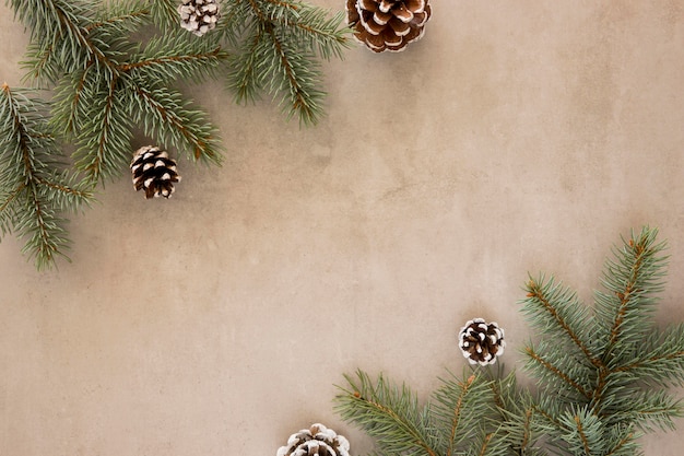 Top view pine leaves and conifer cones