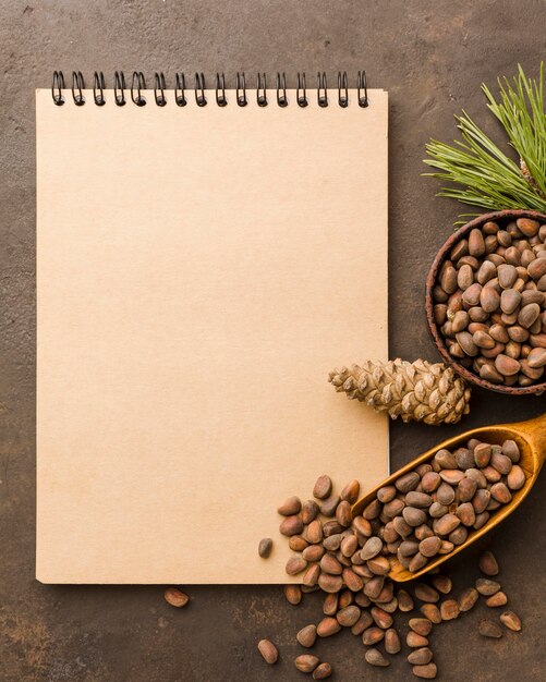 Top view pine seeds with notepad