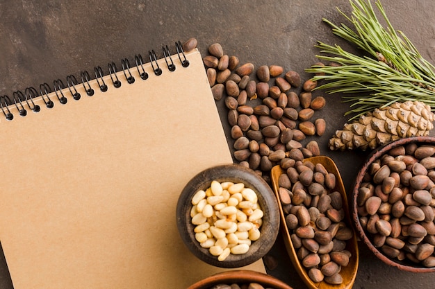 Top view pine seeds with notepad