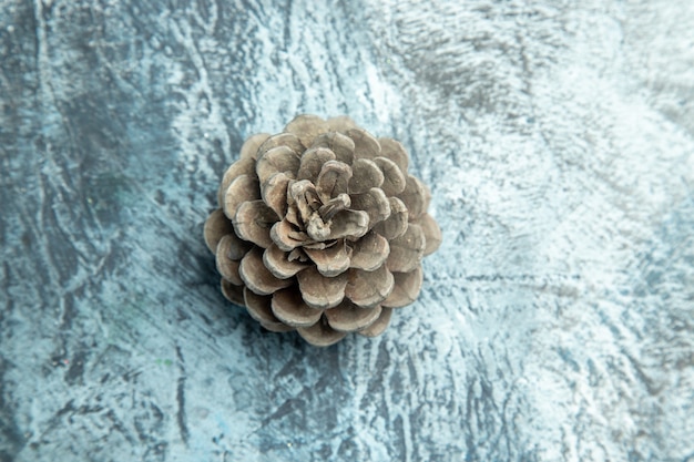 Top view pinecone on dark surface copy place