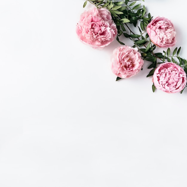 Top view of pink carnations