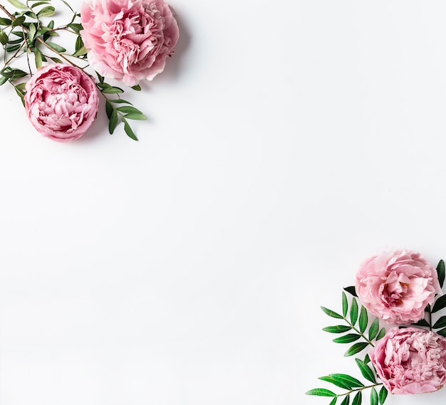 Top view of pink carnations