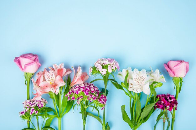 Top view of pink color roses and alstroemeria flowers with turkish carnation on blue background with copy space