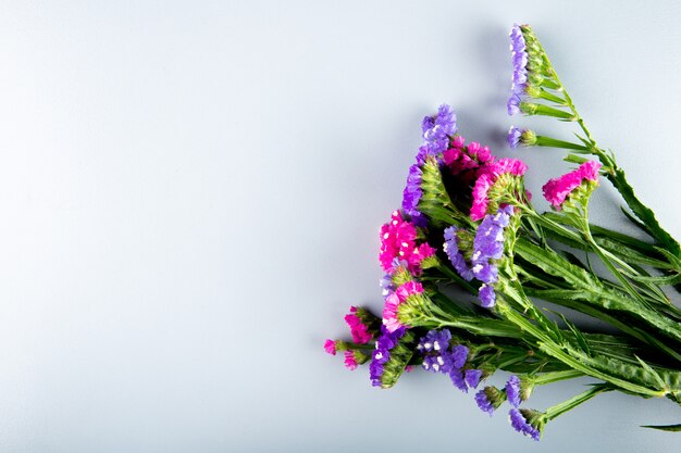コピースペースと白い背景で隔離のピンクと濃い紫の色スターチススターチスの花のトップビュー
