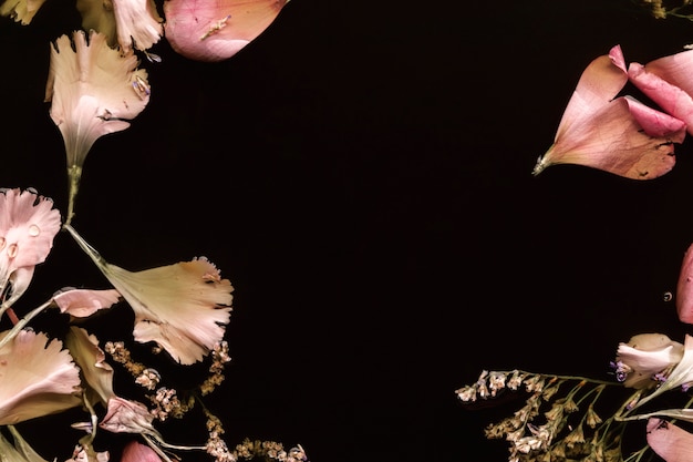 コピースペースと黒い水の上から見るピンクの花