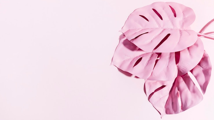 Free Photo top view pink palm leaves with copy space