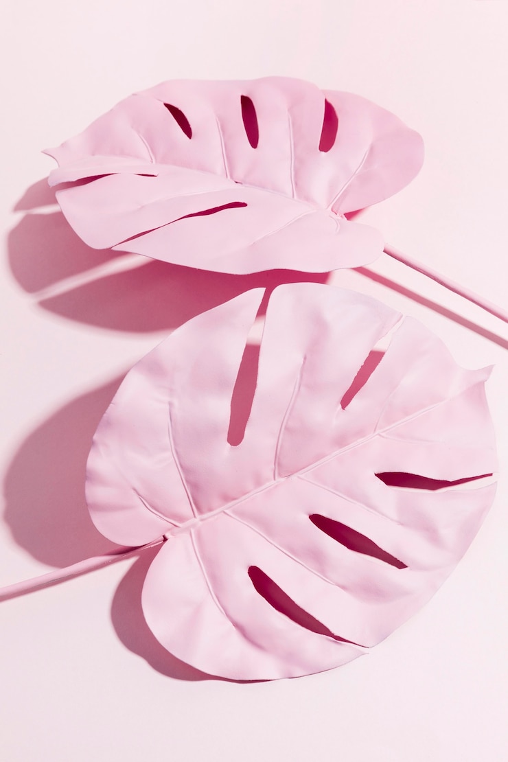 Free Photo top view pink palm leaves