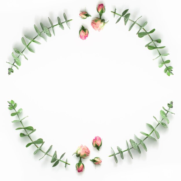 Top view of pink rose buds and eucalyptus on white surface