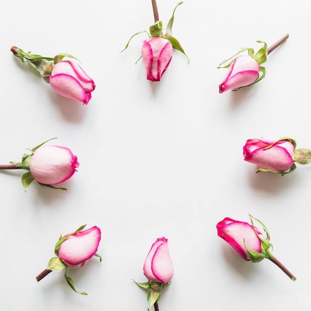 Free photo top view of pink roses