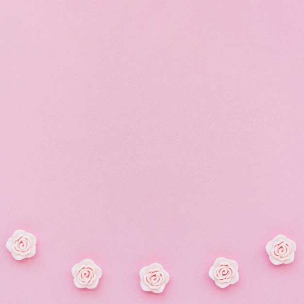 Top view of pink spring roses with copy space