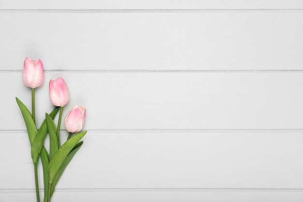 Top view pink tulips bouquet with copy-space