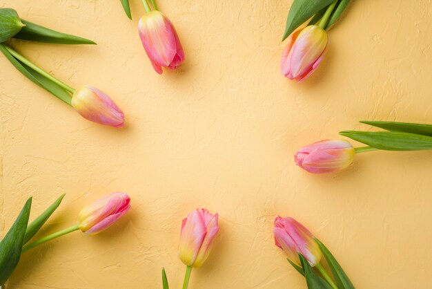 Top view pink tulips frame