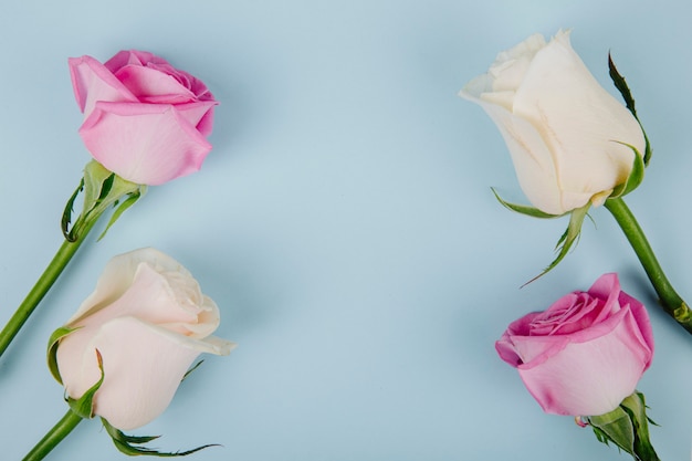Вид сверху розового и белого цвета роз, изолированных на синем фоне с копией пространства