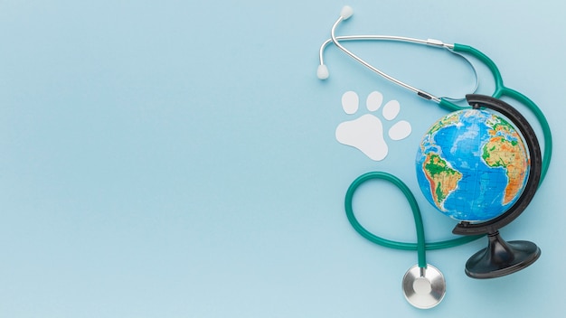 Free photo top view of planet earth with paper paw print and stethoscope for animal day