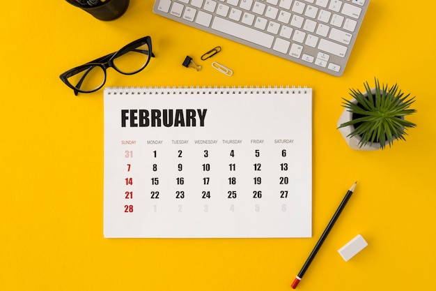 Top view planner february calendar and plant