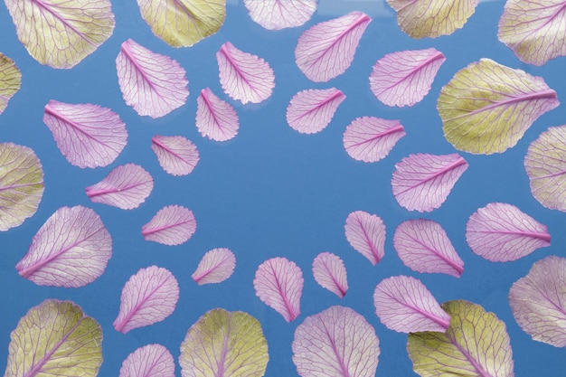 Top view of plant leaves with copy space