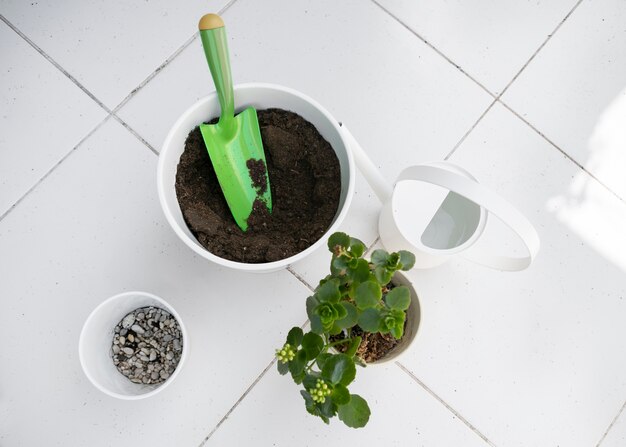 土とトップビュー植木鉢