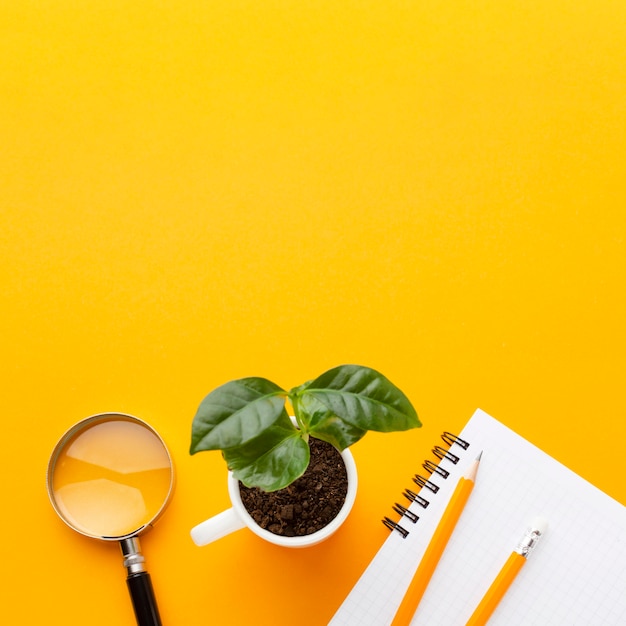 Top view plant and study items frame