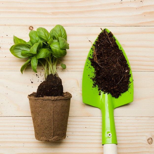 シャベルでトップビューの植物