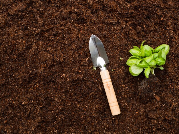 top view plant with shovel