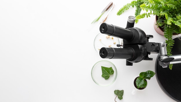 Free photo top view plants and microscope frame