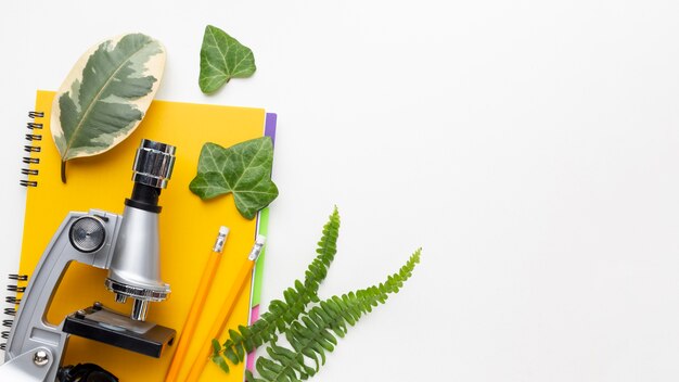 Top view plants and microscope frame