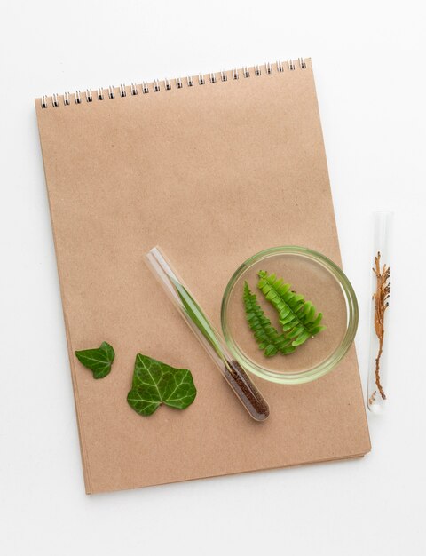 Top view plants and notebook arrangement