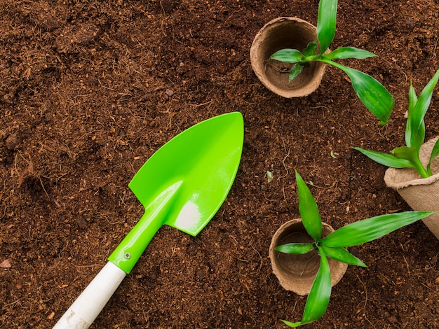 Top view plants with shovel