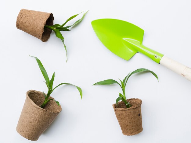 Top view plants with shovel