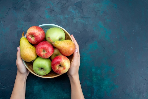 Top view plate with fruits pears and apples on dark-blue desk