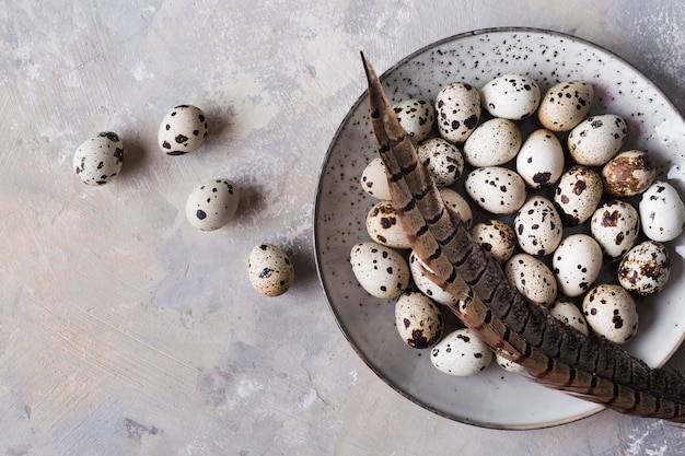 Free photo top view plate with quail eggs