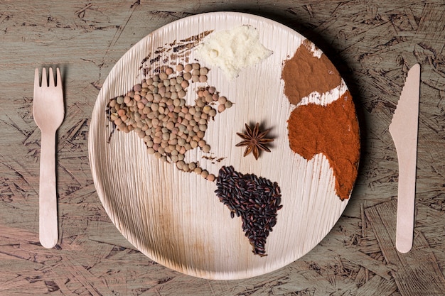 Top view plate with world map and beans